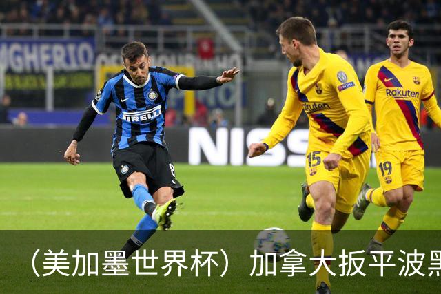 （美加墨世界杯）加拿大扳平波黑 获队史世界杯首分